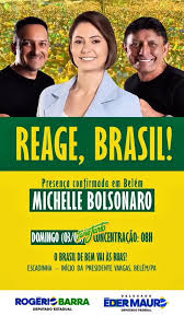 REAJA BRASIL (MANIFESTAÇÃO DA DIREITA)
